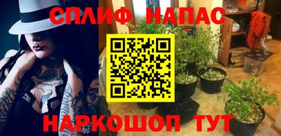прущие крисы Кулебаки