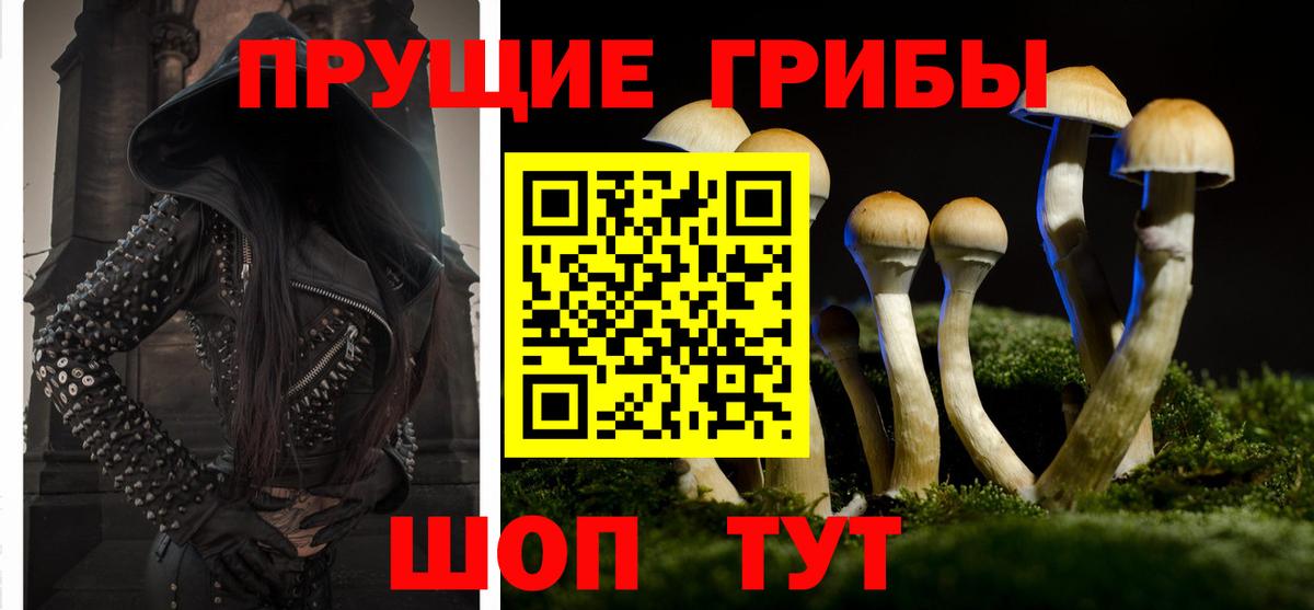 Галлюциногенные грибы Cubensis  даркнет сайт  Вход с VPN  Ирбит  Псилоцибиновые грибы мицелий 